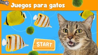 Juegos gatos  Atrapa el PEZ 🐠 🐠  Video para gatos [upl. by Bac]