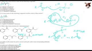 Ochem 2 Chapter 16 Review and Lecture [upl. by Ellimaj]