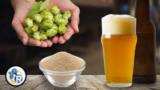 Craft Beer Chemistry [upl. by Jeffie]