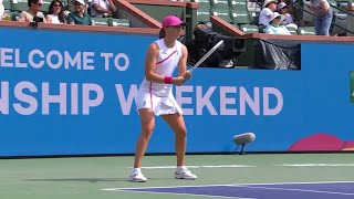 Iga Swiatek 🇵🇱 vs Maria Sakkari 🇬🇷 WTA Final Indian Wells 🏆 [upl. by Nrol]