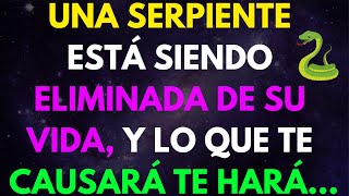 UNA SERPIENTE ESTÁ SIENDO ELIMINADA DE SU VIDA Y LO QUE TE CAUSARÁ MENSAJE DDE LOS ANGELES [upl. by Nedlog]