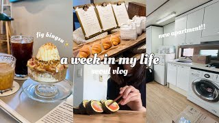 seoul vlog 🇰🇷 moving into new apartment trying the famous salt bread making kimbap etc [upl. by Ahsenid747]