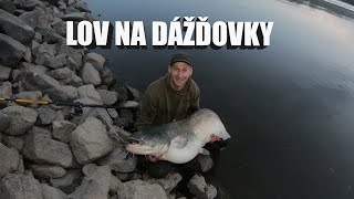 Lov na dážďovky quotrosňákyquot [upl. by Nyrol]