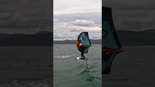 Wing Foiling in Wellington [upl. by Esom]