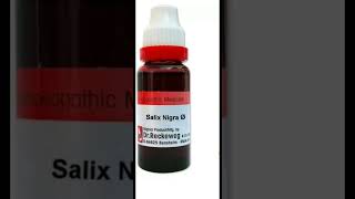 Salix nigra uses in english Effective homoeopathic medicine for male impotency spermatorrhea [upl. by Leodora]