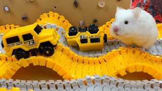 Hamster Escapes Room Maze OBSTACLE COURSE Prison Maze [upl. by Nilo]