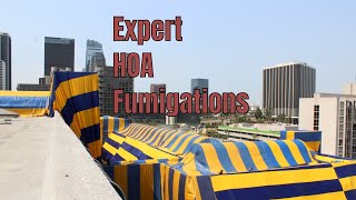 Expert HOA Fumigators 🎪🚫🐜 No Hassle Execution of Termite Fumigation for HOAs [upl. by Nyledaj]