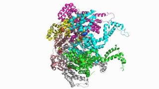 HslU Hexamer 1Do0 [upl. by Edelman]