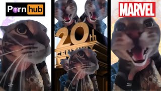 Cat Meows into door camera meme but Best Movie Studio Intros [upl. by Hacim313]