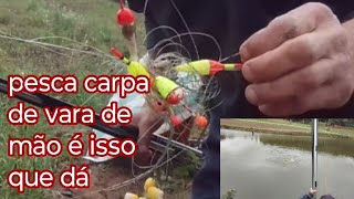 pesca de carpa capim na vara de mão [upl. by Manville]