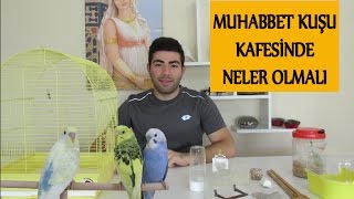 Muhabbet Kuşu Kafesinde Neler Olmalı  Kafes Düzeni [upl. by Lorelle]