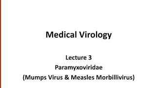 Virology lec 3 ParamyxoviridaeMumps Virus amp Measles Morbillivirus [upl. by Philander290]