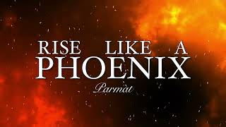 “Rise like a Phoenix”  Parmàt Conchita Wurst Cover [upl. by Ahsetel]