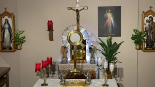 LIVE Eucharistic Adoration  Sisters of Divine Mercy [upl. by Ahsiym]