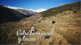 Entre barrancos y tinaos Comarca de La Alpujarra Granada [upl. by Niad]