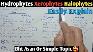 Osmotic Adjustment In Plants  Hydrophytes Xerophytes amp Halophytes  Class 10 Biology [upl. by Anis]