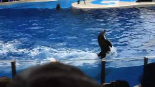 Florida 2009 Part1  Seaworld  Kenedy Space Center  Universal Studios  Island of Adventure [upl. by Anael]