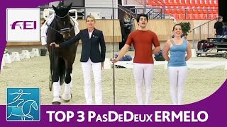 Top 3 Vaulting Pas de Deux  CVI Ermelo 2016 [upl. by Caterina956]