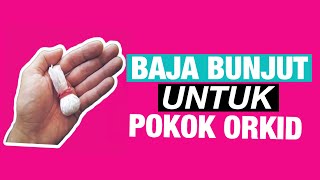 Baja bunjut untuk pokok Orkid [upl. by Solenne363]