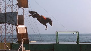 1959 Atlantic City  Showtime on the Steel Pier amp Horse Diving [upl. by Nalo600]