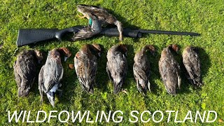 Wildfowling  Scottish Foreshore [upl. by Aldos]