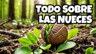 quotLAS NUECESquot🌿🪴🌱🌰vídeoviral saludable vidateayudanbuenos diaste aliviansaludmentalonline [upl. by Fletch]