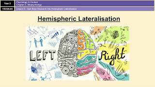 ALevel Psychology AQA Biopsychology  Hemispheric Lateralisation and Split Brain Research [upl. by Rexfourd]