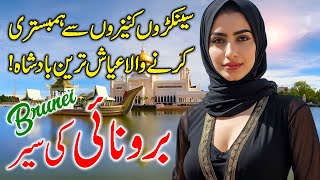 Travel to Brunei Darussalam  Amazing Facts amp Complete History of Brunei  برونائی کی سیر [upl. by Peyter]