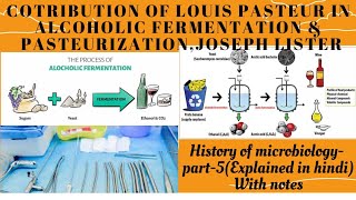 Contribution of Louis Pasteur in Alcoholic fermentation amp Pasteurization Joseph listerin Hindi [upl. by Duston]