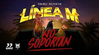 NO SOPORTAN  LINEA M Video Oficial [upl. by Frager141]