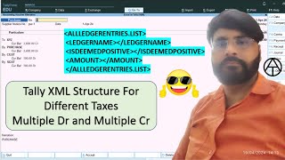 Tally XML Structure For Taxes  anuragtiwari7149 [upl. by Elockcin]