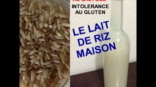 Intolérance Au Lactose Lait De Riz Maison [upl. by Tinya]