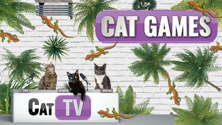 CAT TV  Larry the Lizard  A Playful Adventure Across Diverse Lands  Videos For Cats to Watch  😼 [upl. by Ihtac]