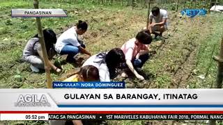 Gulayan sa Barangay itinatag sa Pangasinan [upl. by Hewe]