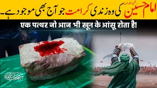 Karbala Ka Zinda Mojza  Hazrat Imam Hussain RA Ki Zinda Karamat  Muharram ka Mojza  Amaizee tv [upl. by Aryahay369]