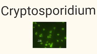 Cryptosporidium [upl. by Phiona836]