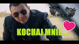 Młode Wilki feat JAREK BANDZIOREK amp DANUSIA  KOCHAJ MNIE Official video4k 2024 [upl. by Olsson158]