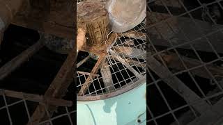 cooling Tower Motor please Like And Subscribe share 👍👍👍👍👍👍👍👍 [upl. by Anita]