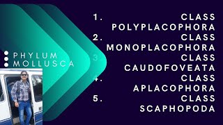 CLASS POLYPLACOPHORA [upl. by Aneleh]