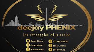 Niska Matuidi Charo PSG DJ Phenix Remix [upl. by Kary]