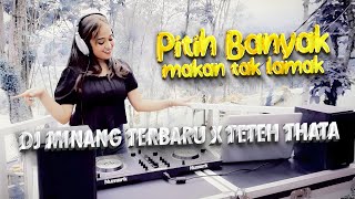 DJ MINANG TERBARU X TETEH THATA  PITIH BANYAK MAKAN TAK LAMAK FT SILVA HAYATI [upl. by Kathryne]