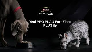 Probiyotik ve prebiyotik içeren özel formüllü Pro Plan FortiFlora Plus [upl. by Albin]