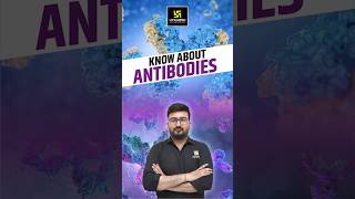 Know About Antibodies  CUET Biology biology antibodies  Shubham Sir [upl. by Dlorej744]