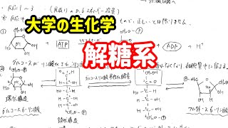 解糖系について、わかりやすく解説！【大学の生化学】 [upl. by Yedrahs]