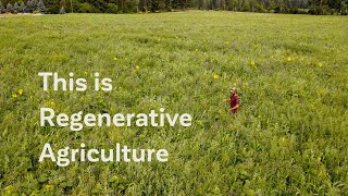 This is Regenerative Agriculture  Sustainability in Farming [upl. by Syhr137]