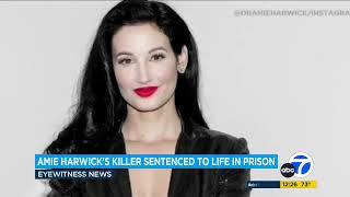 Exboyfriend gets life in prison for murder of therapist Amie Harwick [upl. by Graniela]