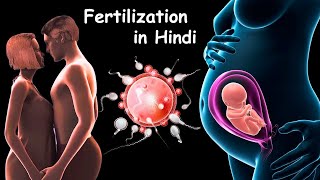 Fertilization  Pregnancy  Baby Delivery [upl. by Zia]