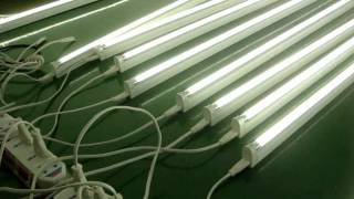 LED T5 Tube Light [upl. by Nomelc]