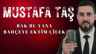 Mustafa Taş  Bak Bu Yana  Bahçeye Ektim Çilek [upl. by Eldrid815]