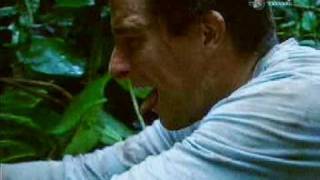 Bear Grylls Eats some worms  Ultimate survival [upl. by Schechter]